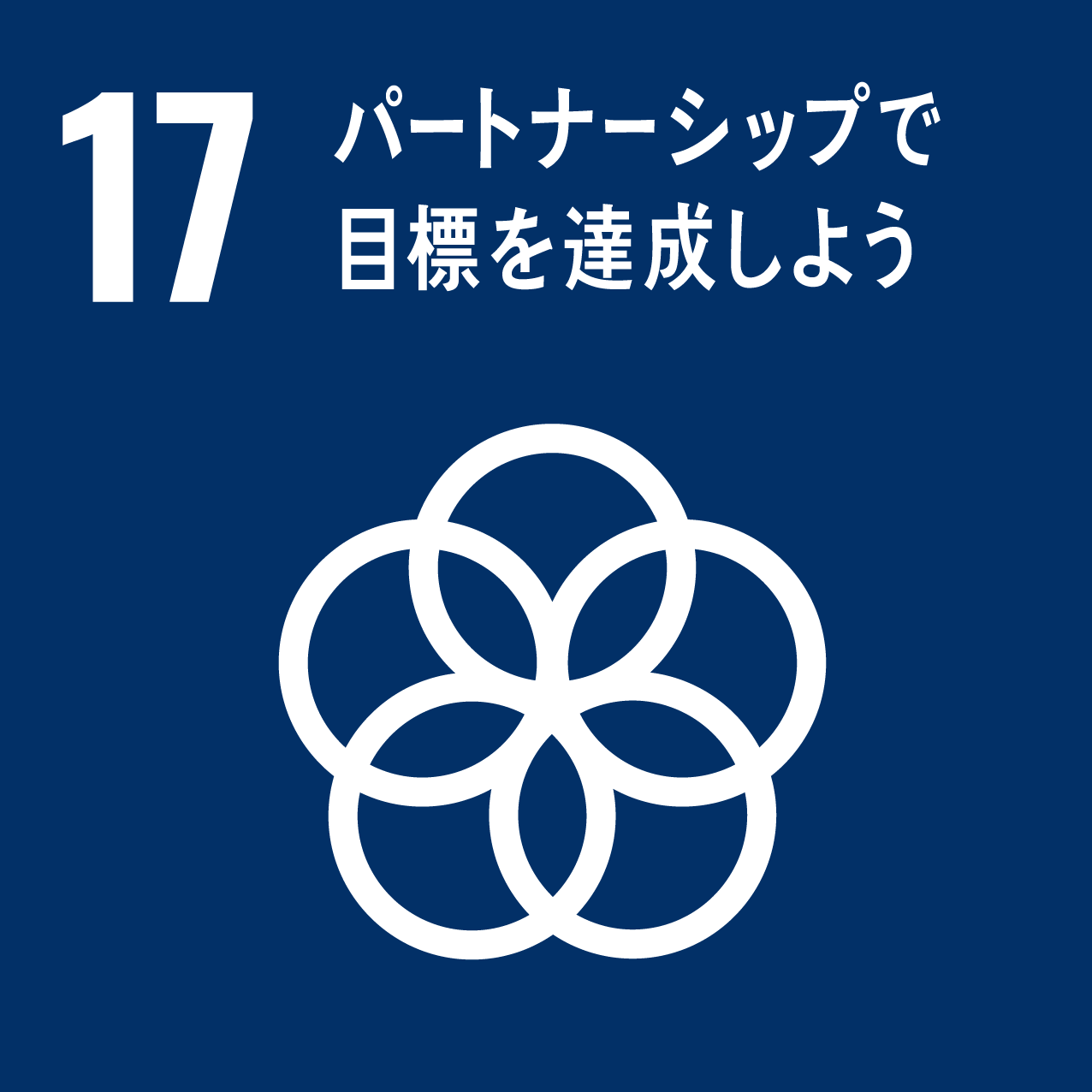 sdg icon 17 ja 2